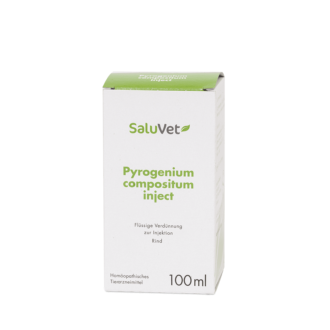 Pyrogenium compositum inject - 3 x 100 ml