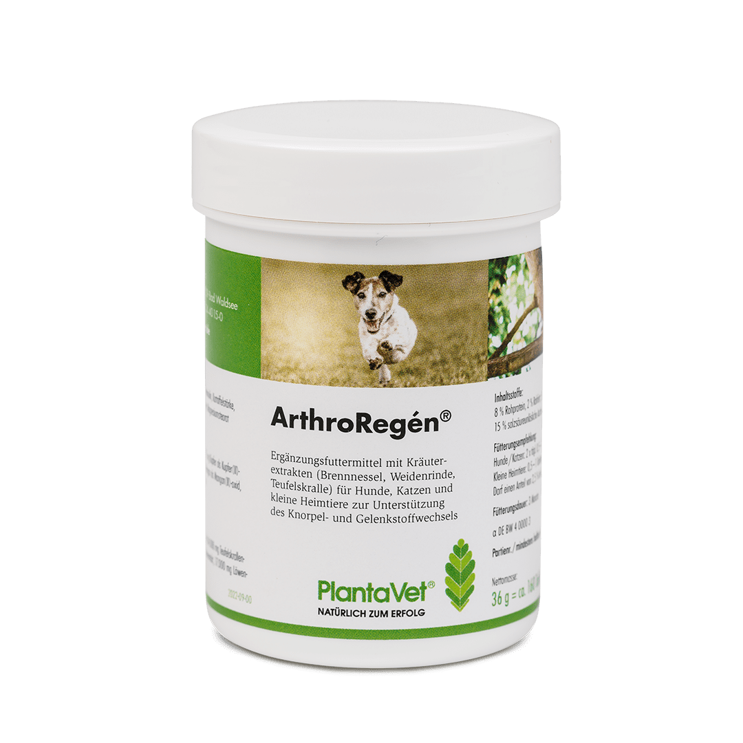 ArthroRegén® - Tabletten 160