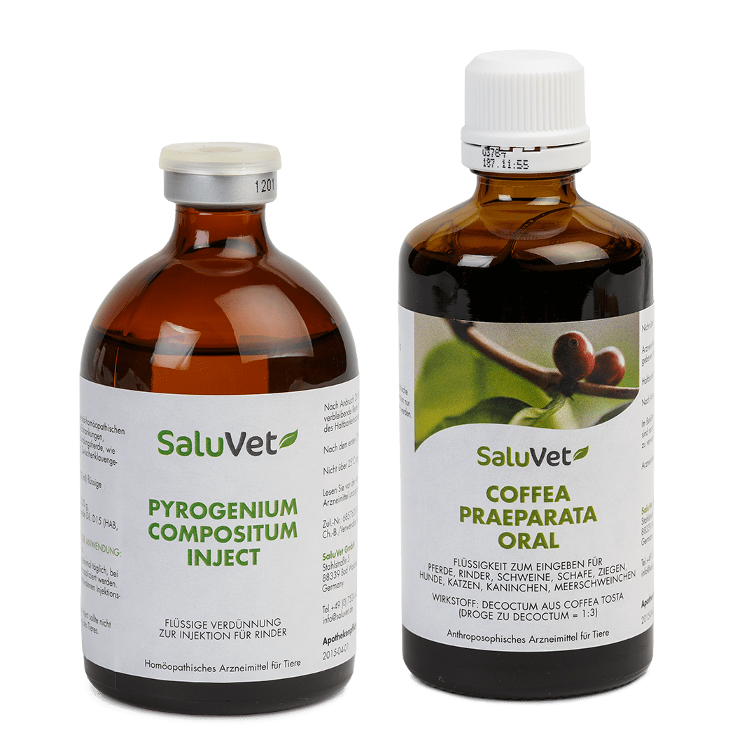 Pyrogenium compositum inject + Coffea praeparata oral Flasche je 100 ml