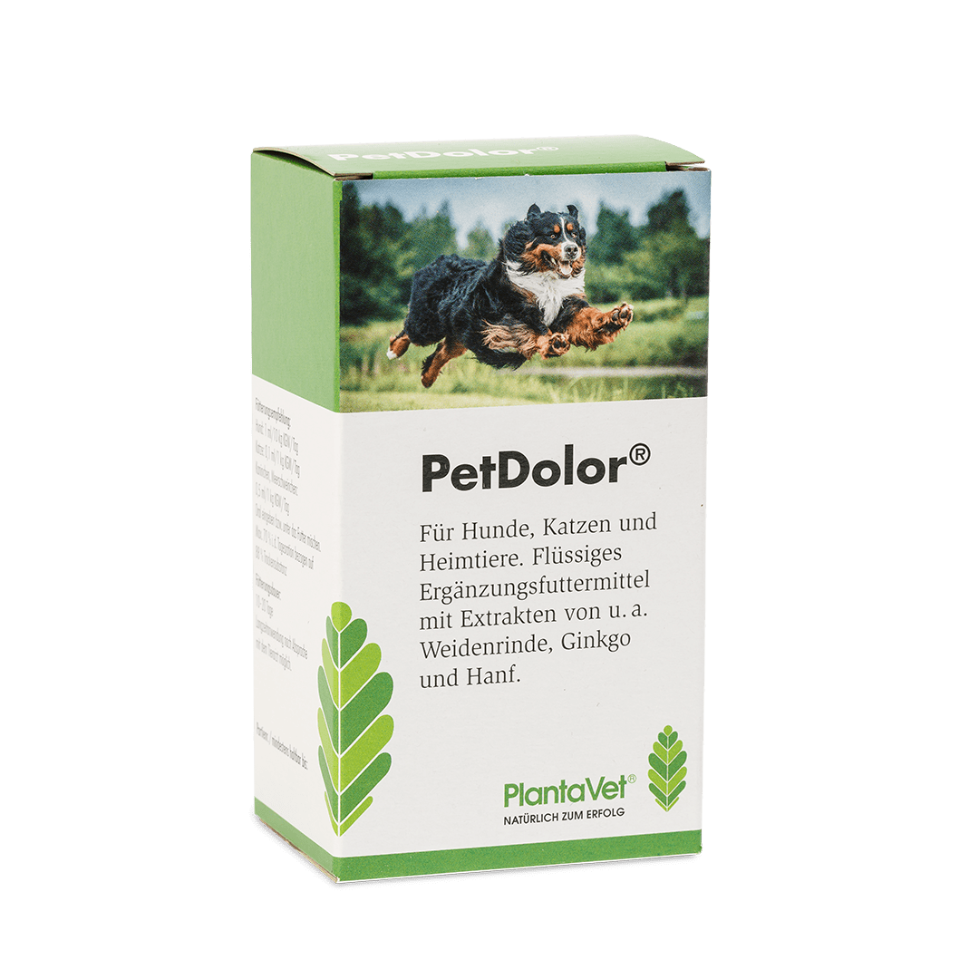 PetDolor® - Verpackung