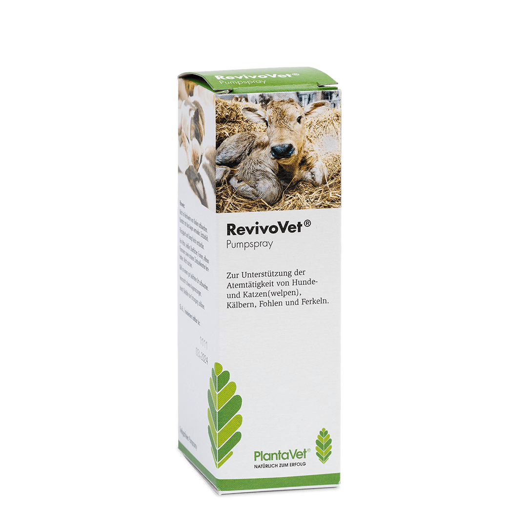 RevivoVet® - Verpackung