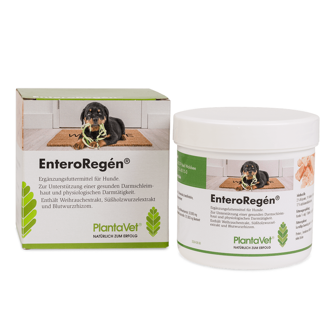EnteroRegén® - Dose Tabletten
