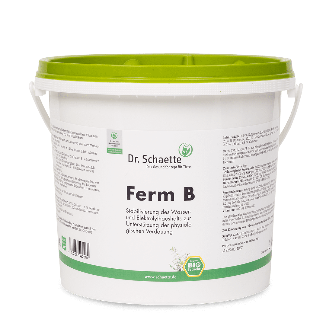 Ferm B