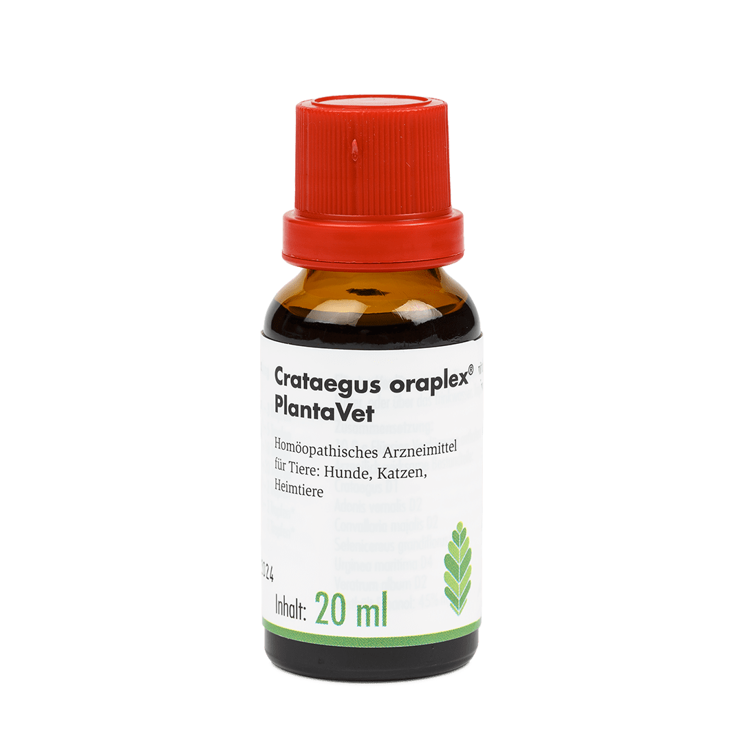 Crataegus oraplex® - Tropfflaschen 20 ml
