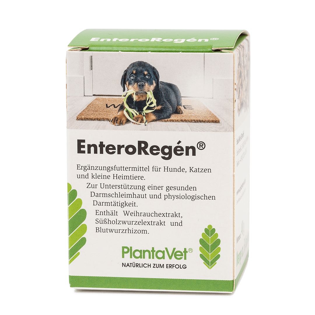 EnteroRegén® -Verpackung 50 St