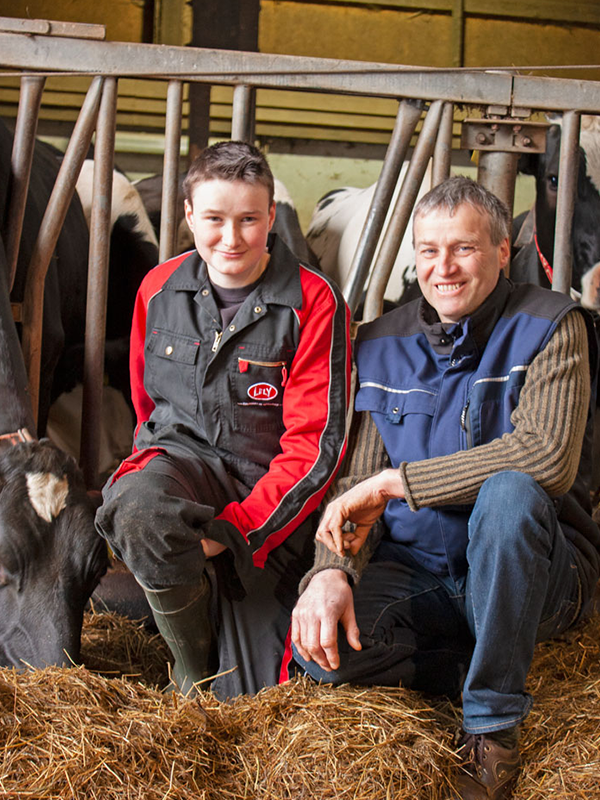Landwirt und Sohn im Kuhstall