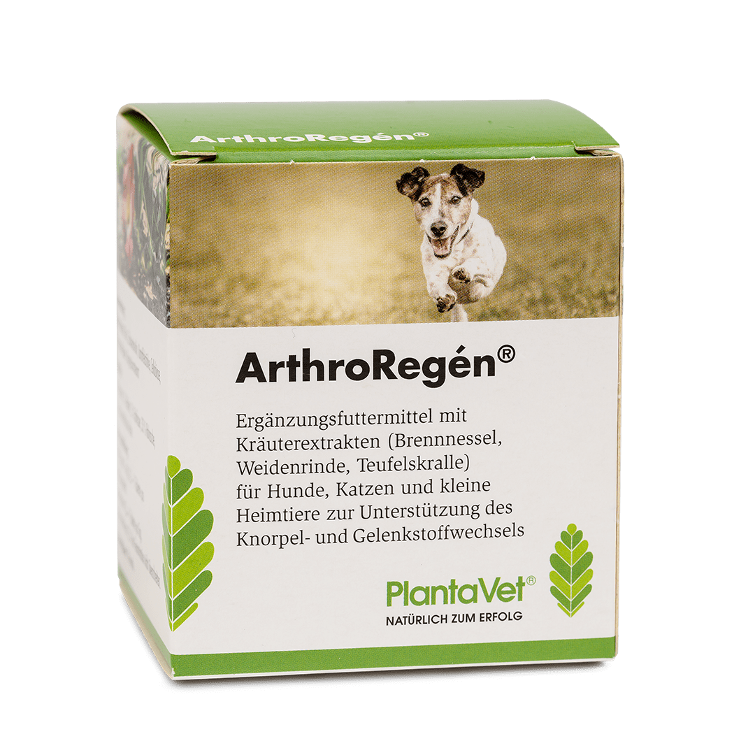 ArthroRegén® - Verpackung 300