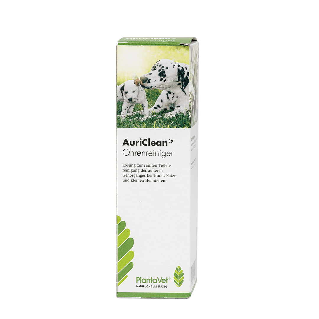AuriClean® - Ohrenreiniger - Verpackung