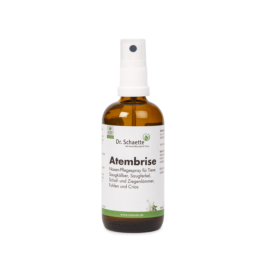 Atembrise