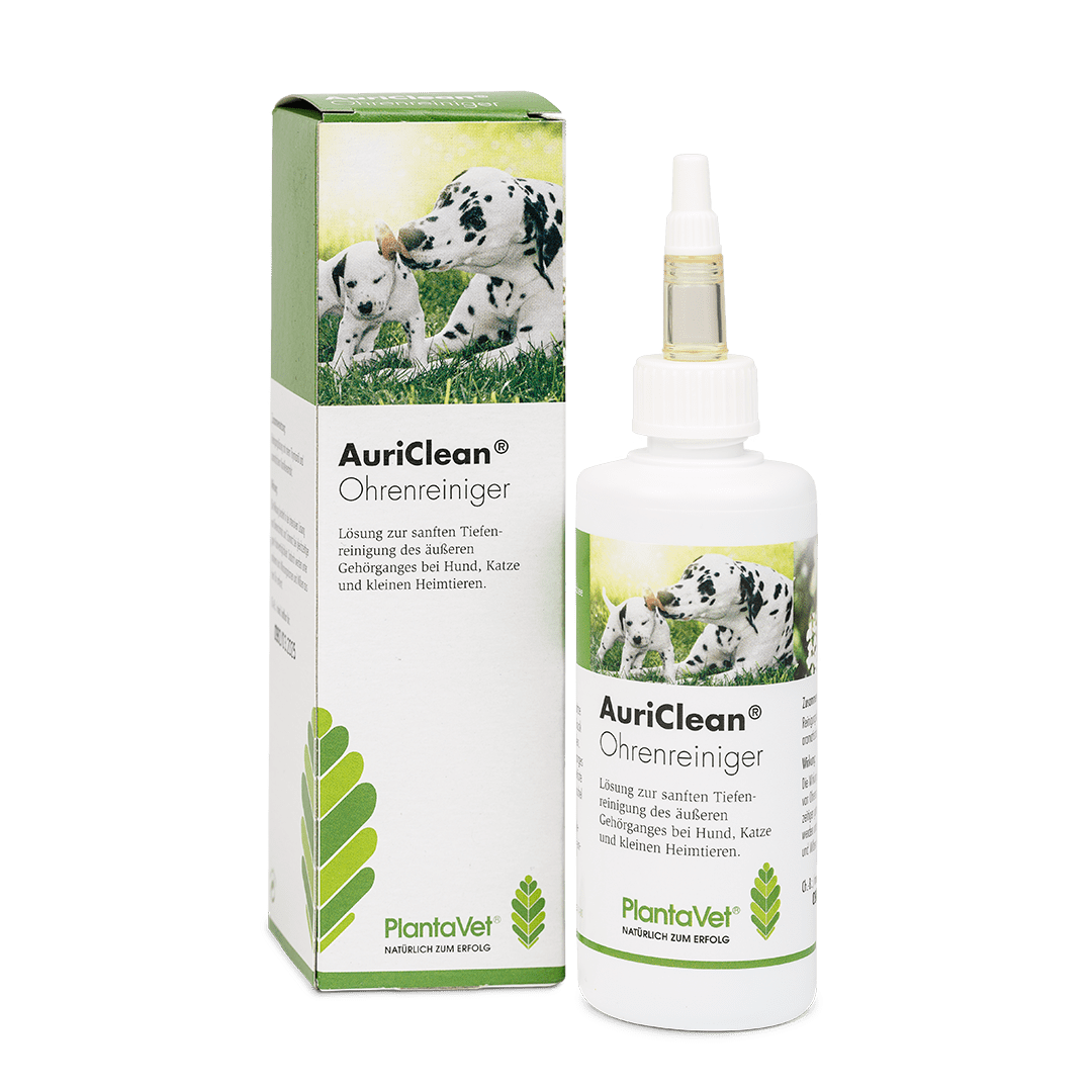 AuriClean® - Ohrenreiniger - Flasche und Verpackung