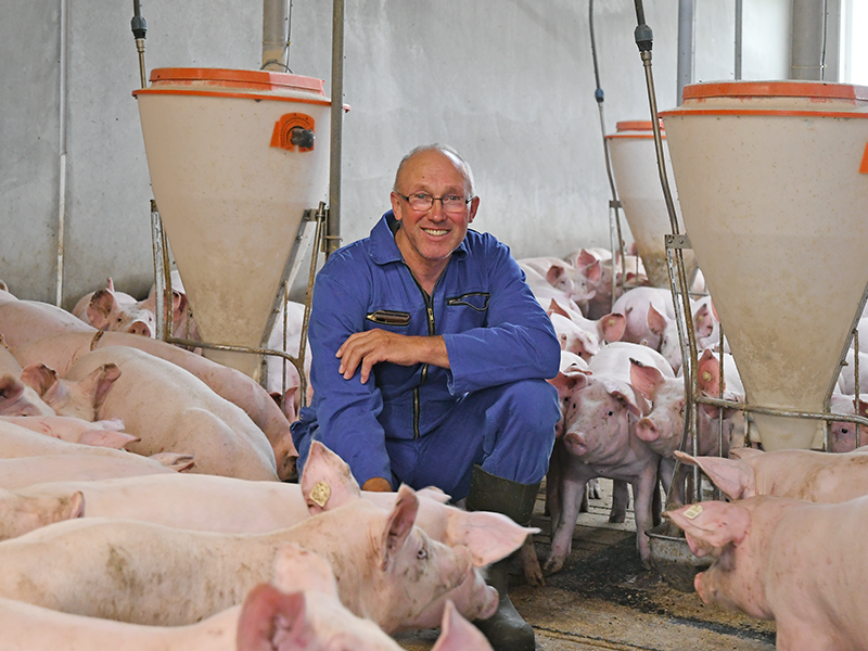 Gerhard Häckel mit seinen Mastschweinen