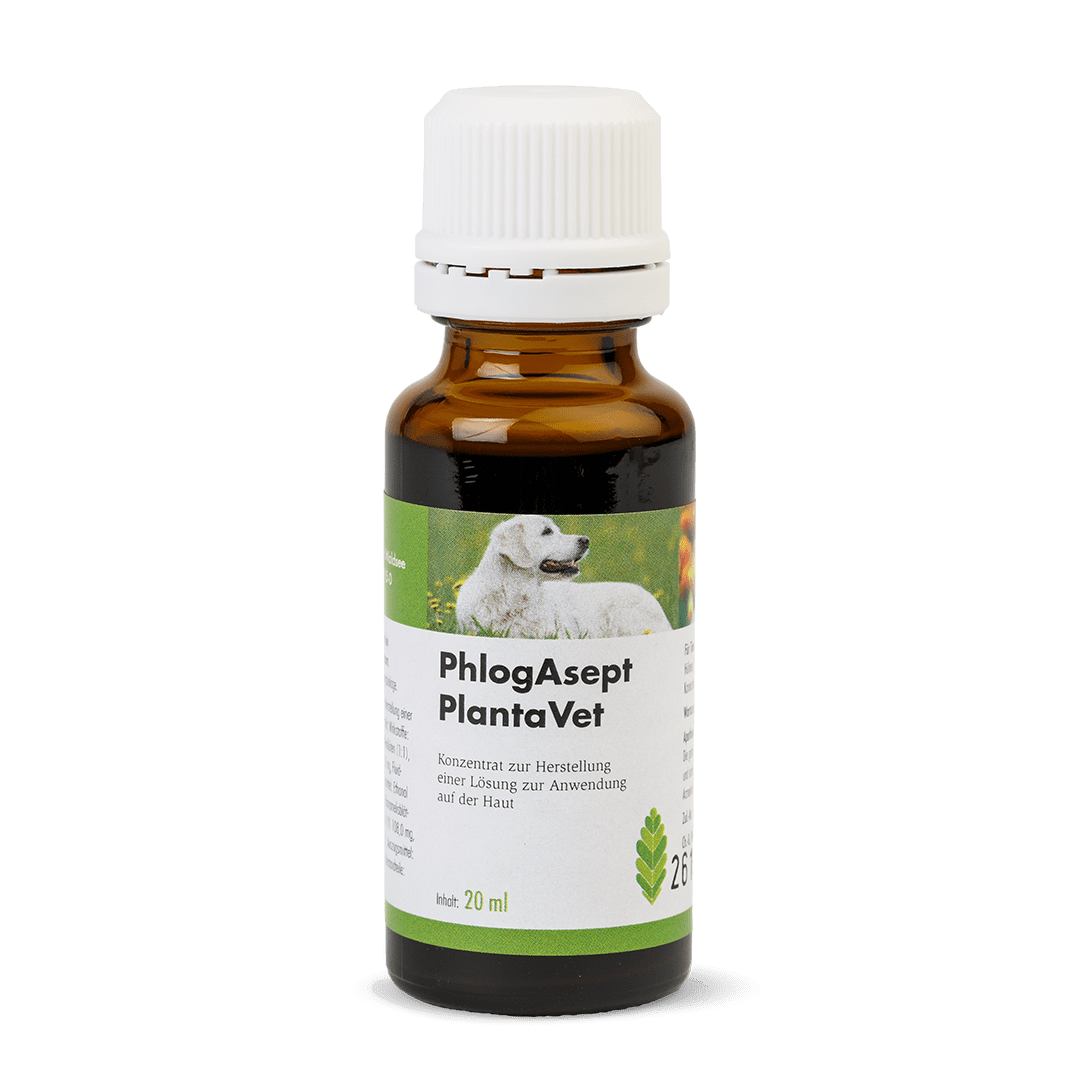 PhlogAsept® PlantaVet - Flasche 20 ml  mit Lueradapter 