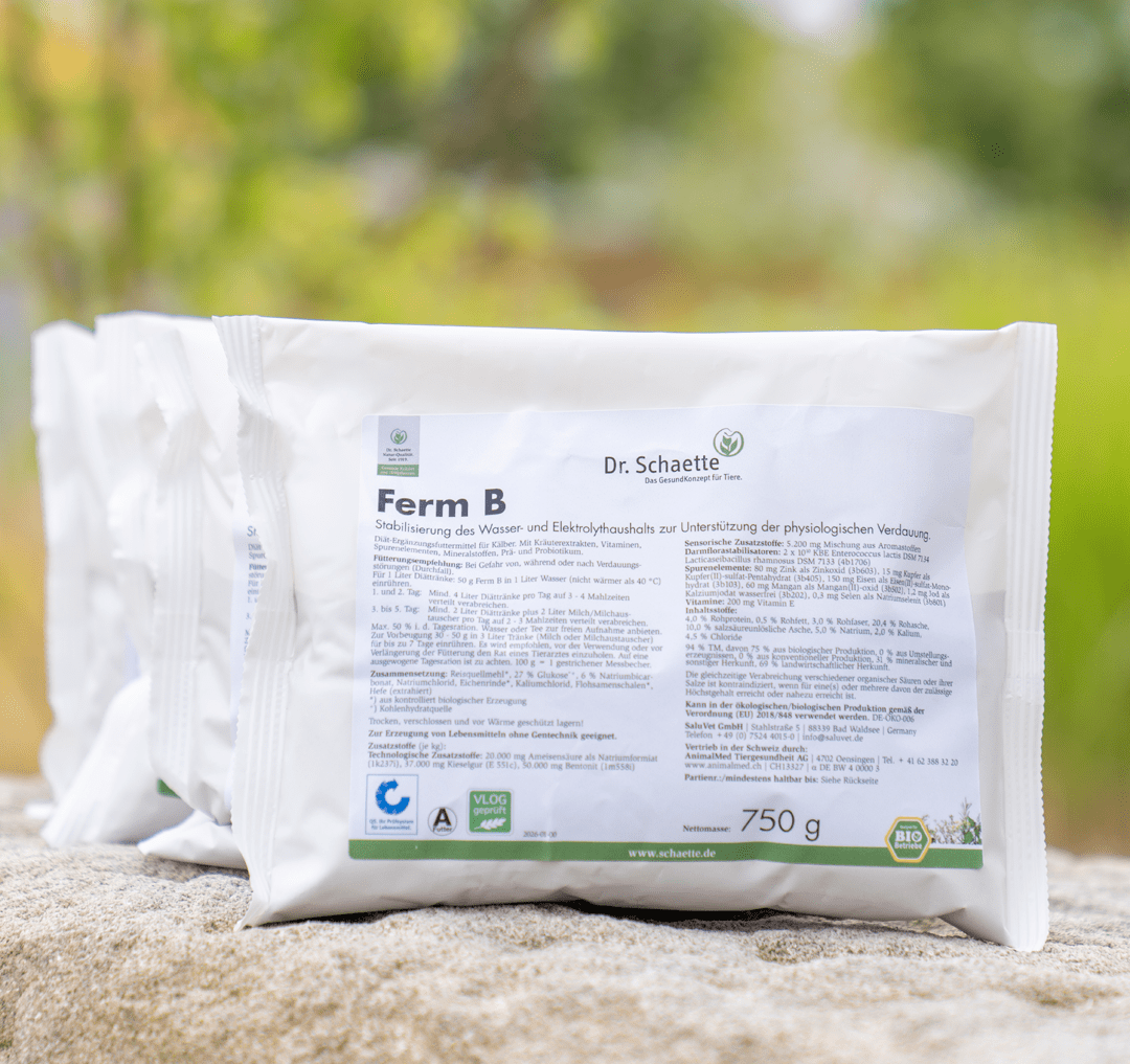 Ferm B