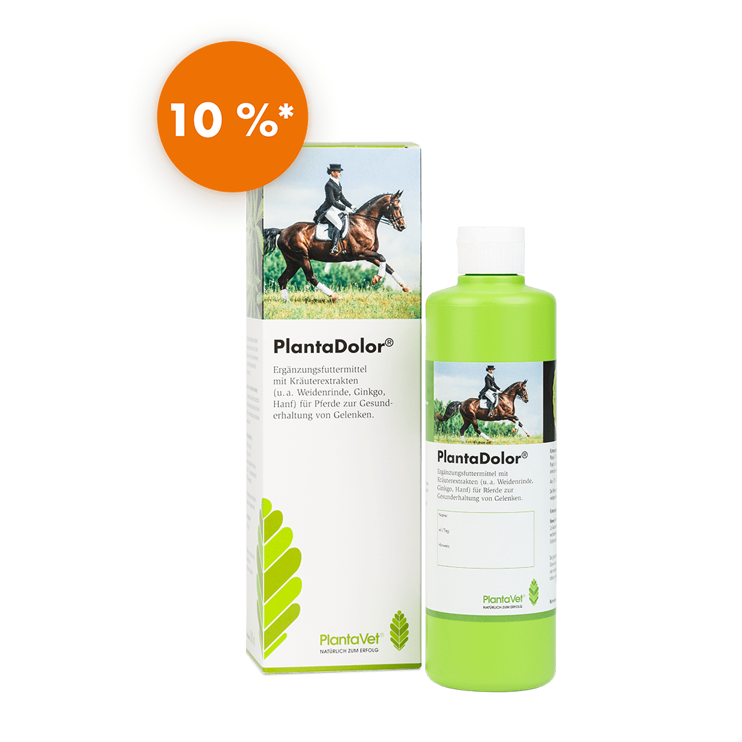 PlantaDolor® - Flasche