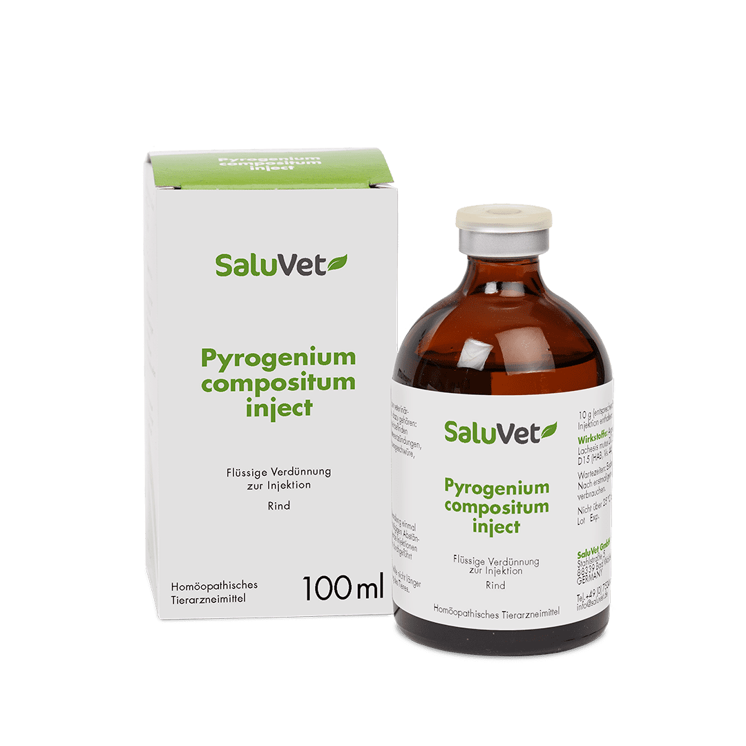Pyrogenium comp. inject - Durchstechflasche