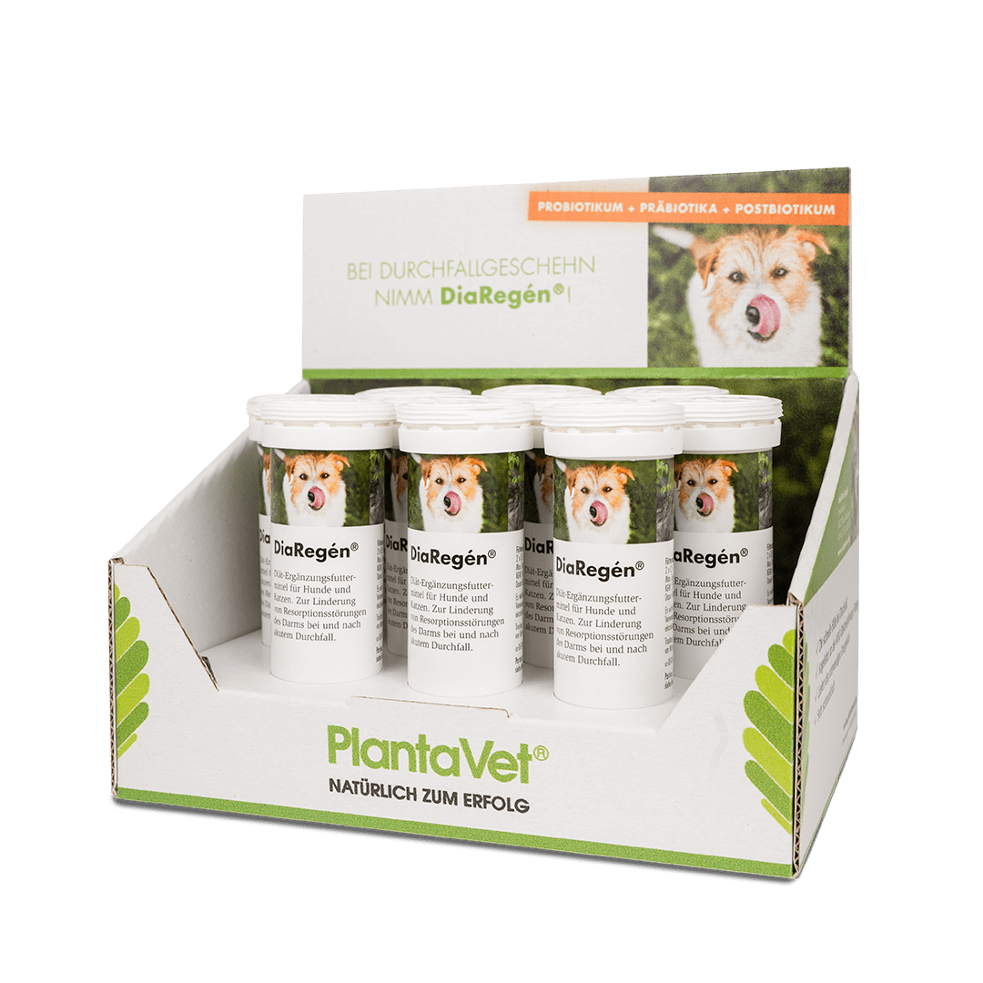 Bei Durchfallgeschehn nimm DiaRegén® -  Aufsteller