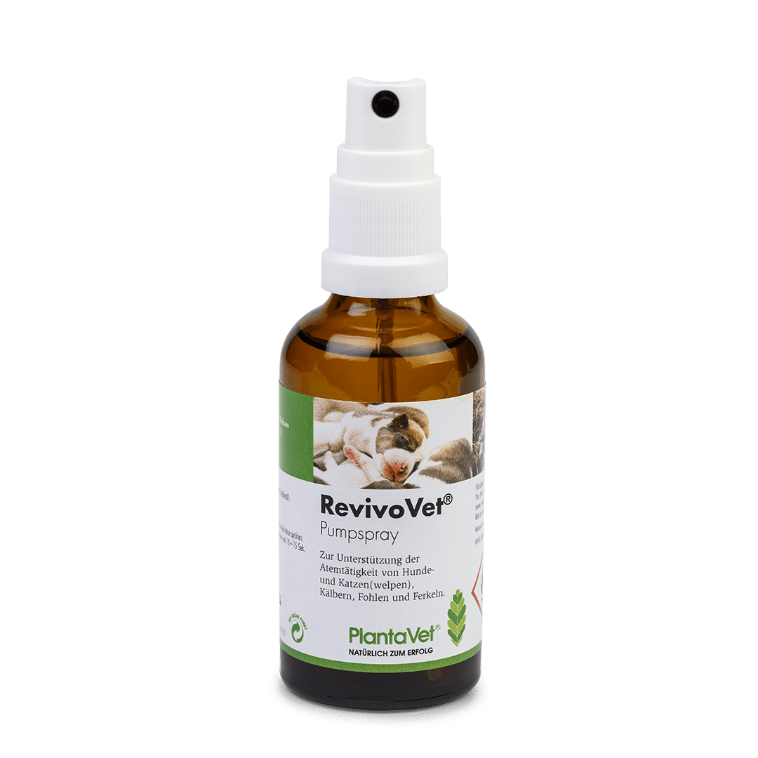 RevivoVet® - Sprühflasche 50 ml