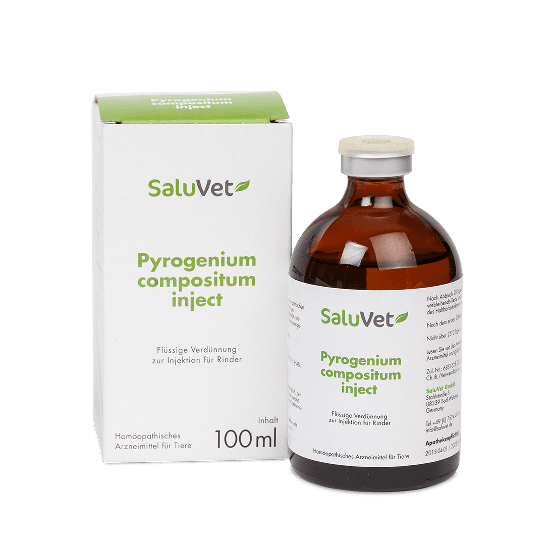 Pyrogenium compositum inject - 6 x 100 ml 