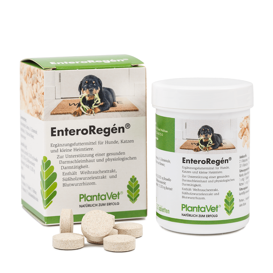 EnteroRegén® - Dose Tabletten 50 Stück mit Verpackung