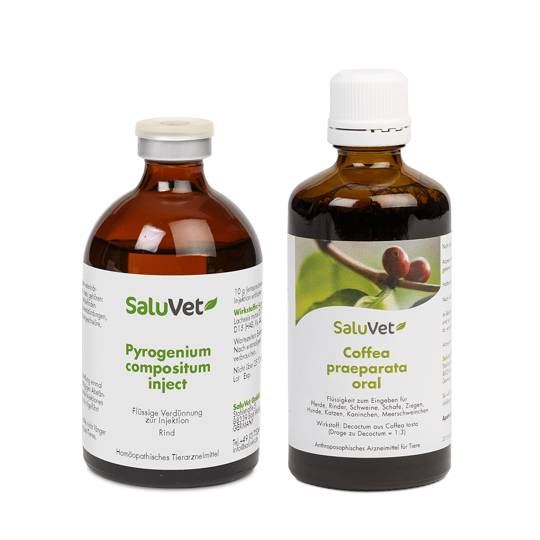 Pyrogenium compositum inject + Coffea praeparata oral