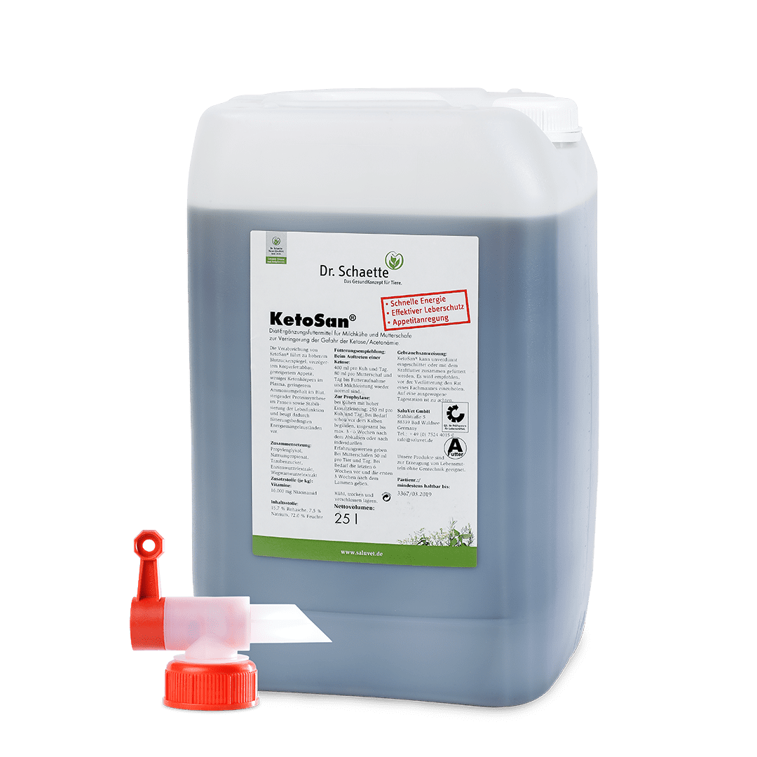 2025_03_KetoSan-25-l-Kanister_Auslaufhahn_Kombi_web_1080 Ketosan 25 l Kanister inkl. Auslaufhahn