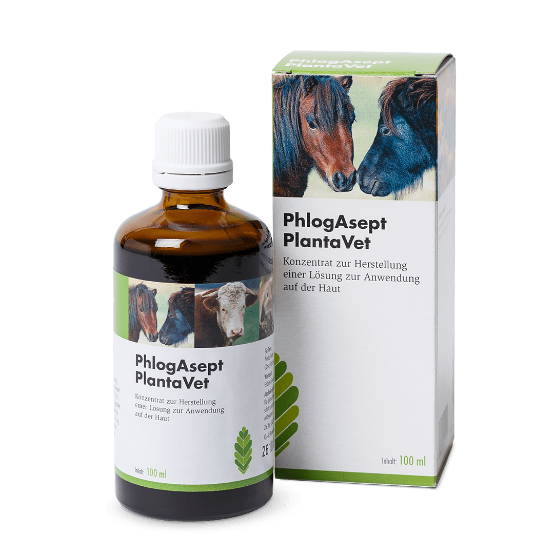 PhlogAsept® PlantaVet - Flasche 100 ml  mit Lueradapter und Verpackung
