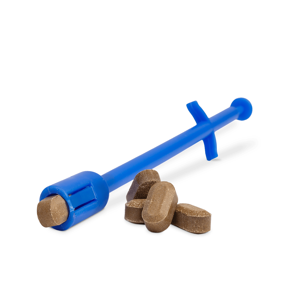 Zubehör: Bolus-Eingeber KALB