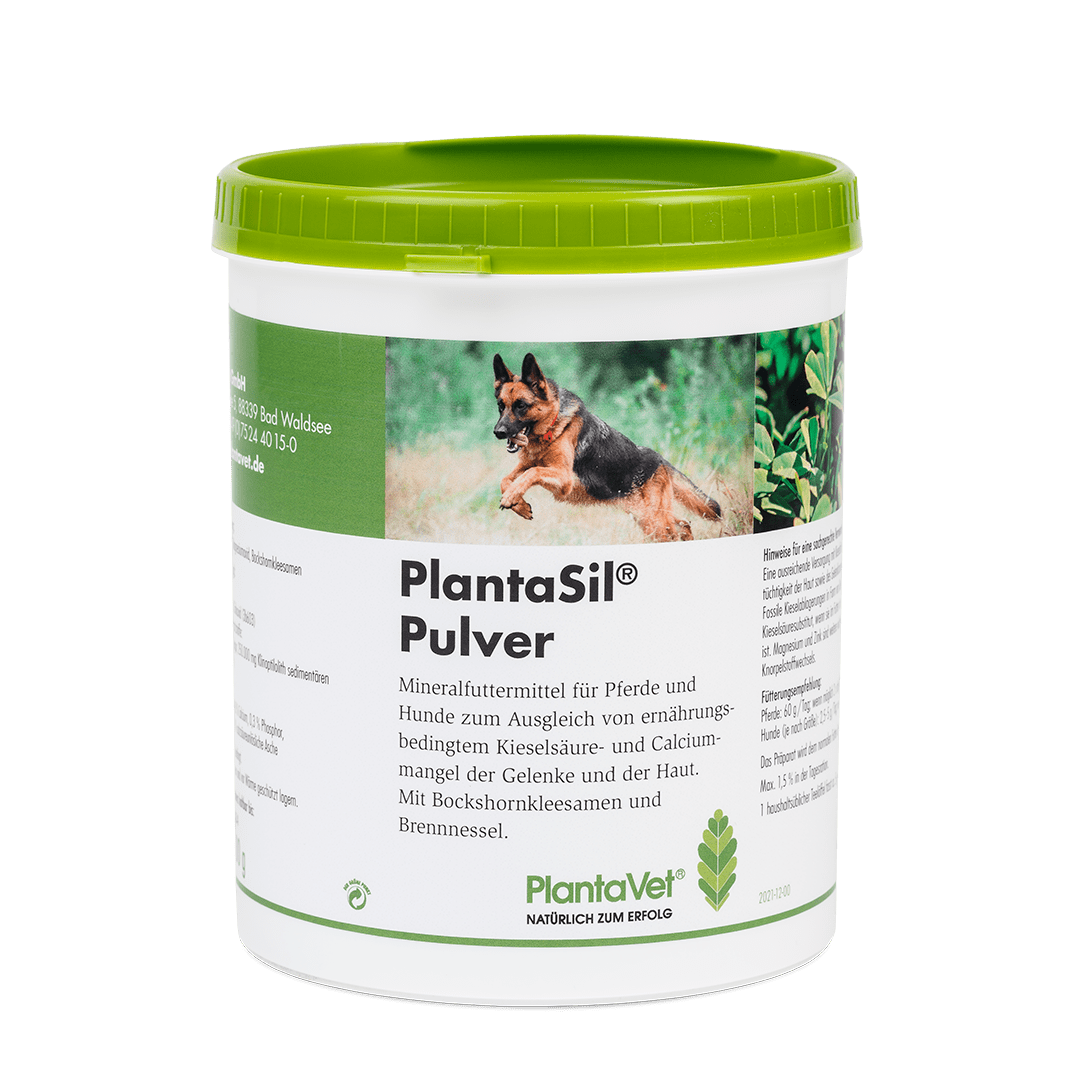 PlantaSil® - Pulver