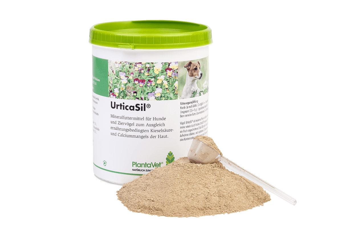 UrticaSil® - Pulver 500 g Dose - Pulver