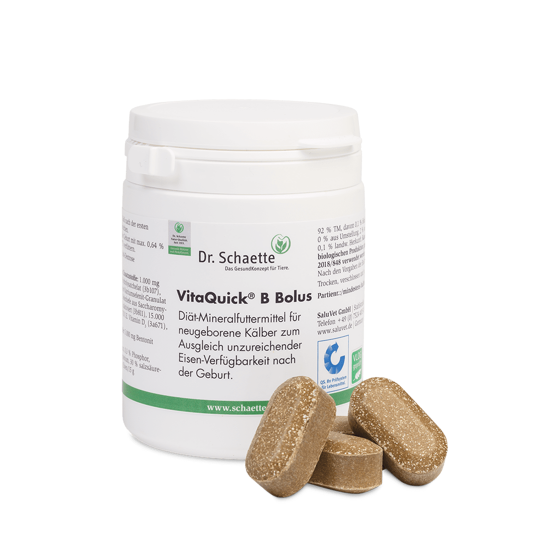 VitaQuick® B Bolus