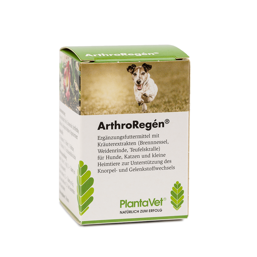ArthroRegén® - Verpackung 160