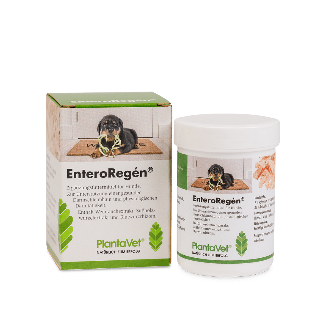 EnteroRegén® - Dose Tabletten