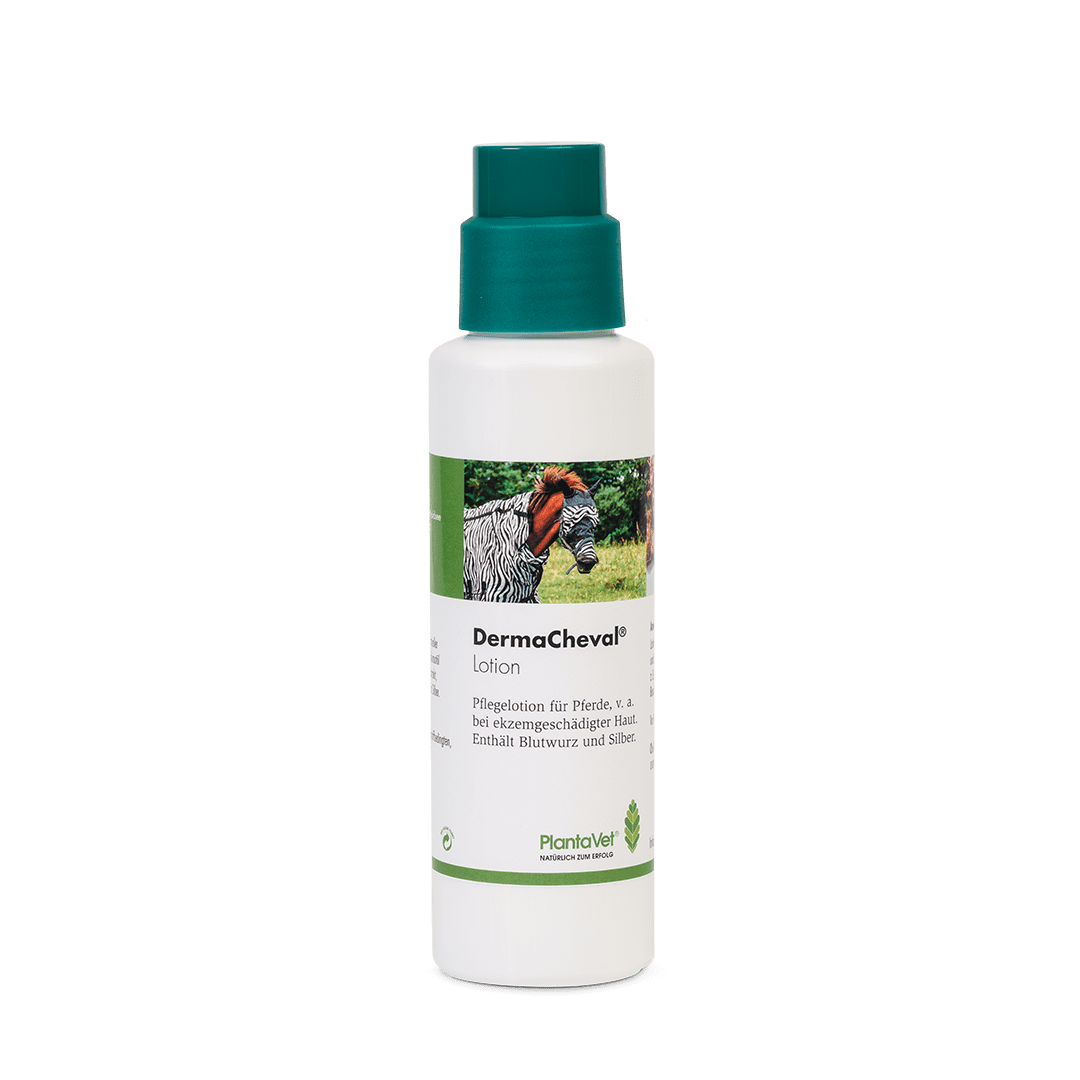 DermaCheval® Lotion - Bürstenflasche mit Deckel