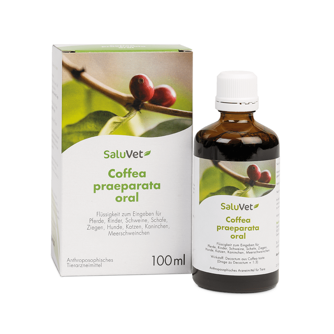 Coffea praeparata oral - 3 x 100 ml