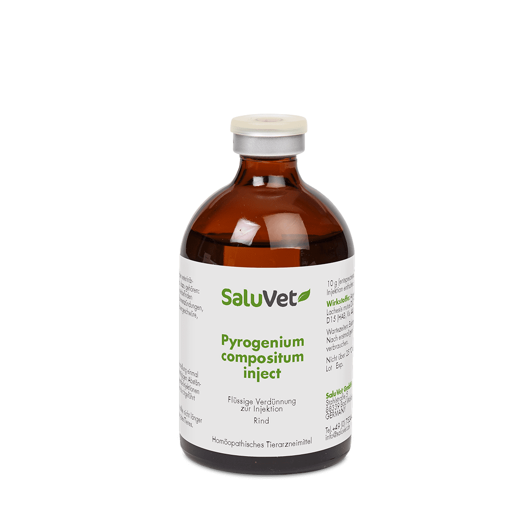 Pyrogenium compositum inject - 3 x 100 ml