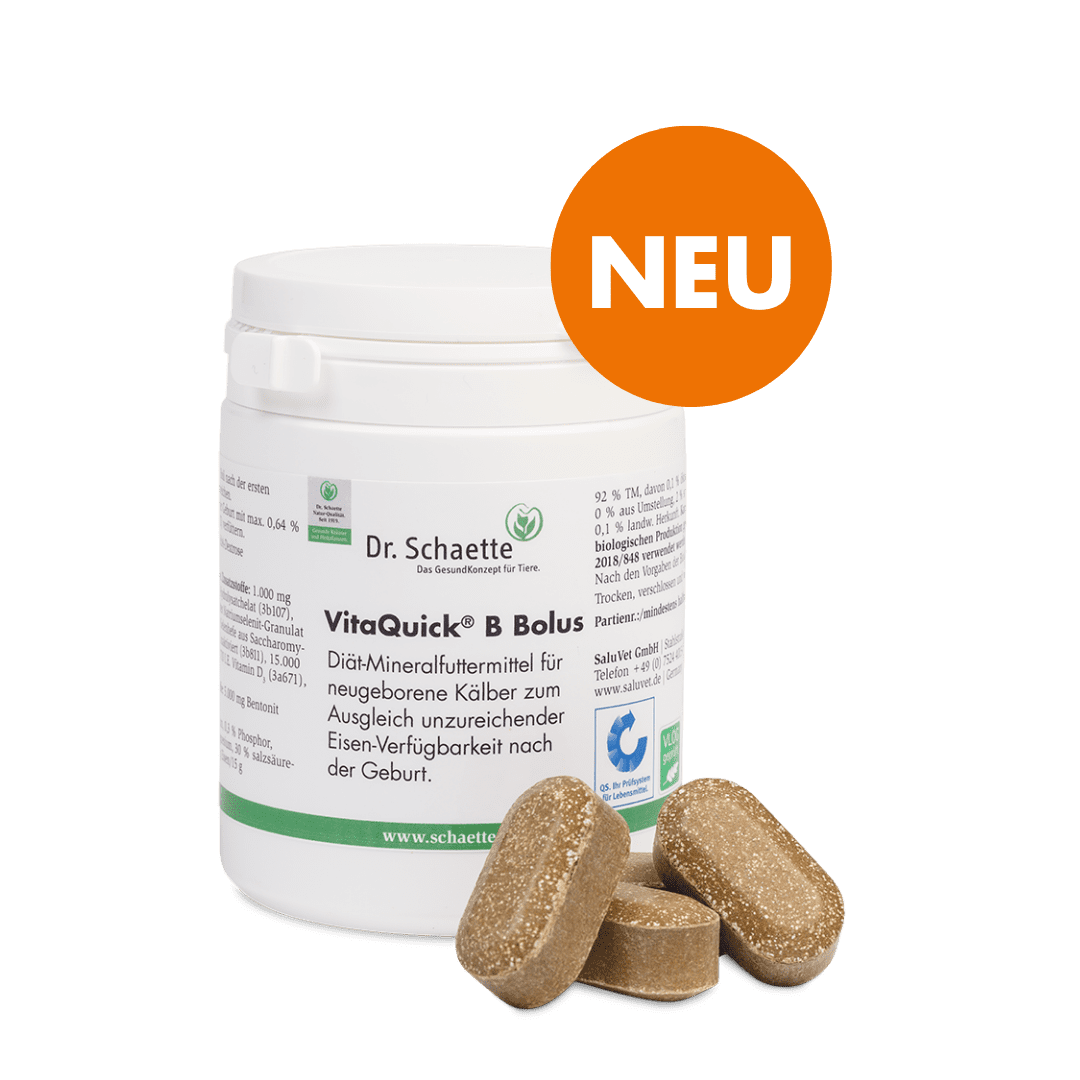 VitaQuick® B Bolus
