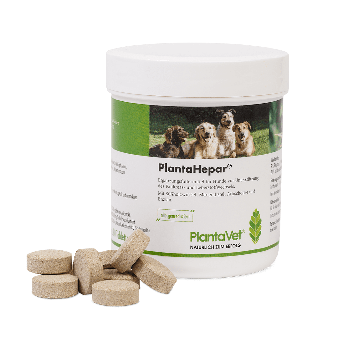 PlantaHepar® - 800 mg Tabletten - 80 Stck - Produkt