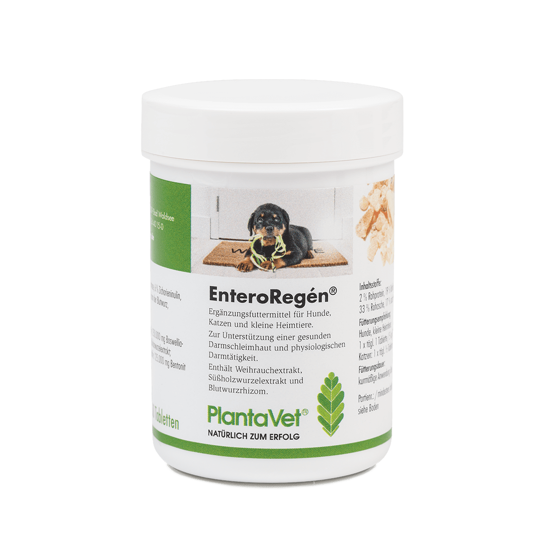 EnteroRegén® - Dose Tabletten 50 Stück