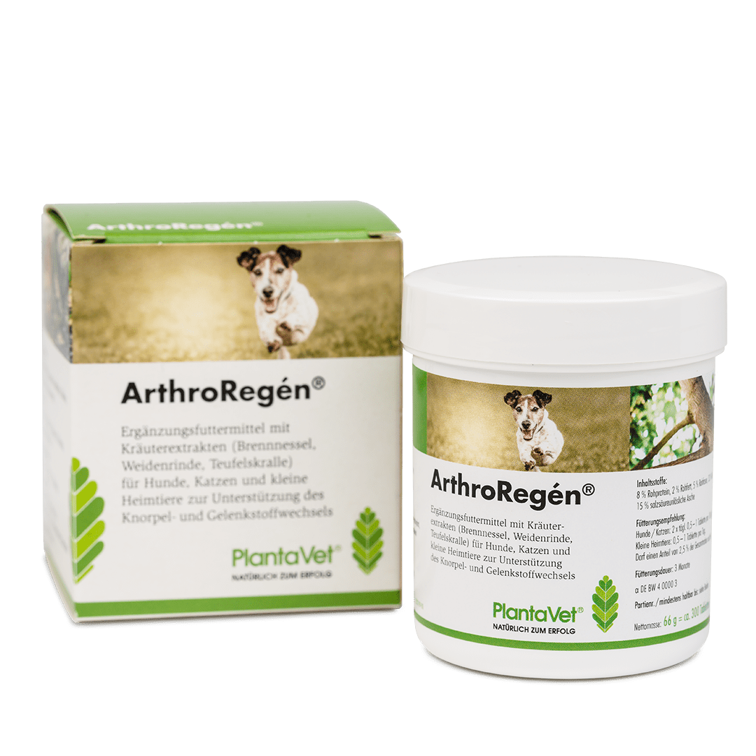 ArthroRegén® - Tabletten 300 mit Verpackung