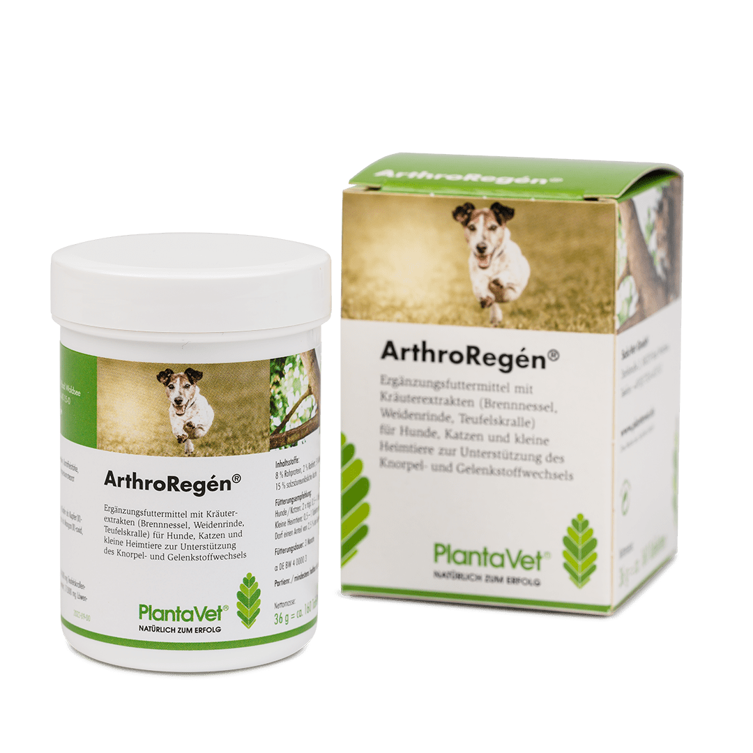 ArthroRegén® - Tabletten 160 mit Verpackung