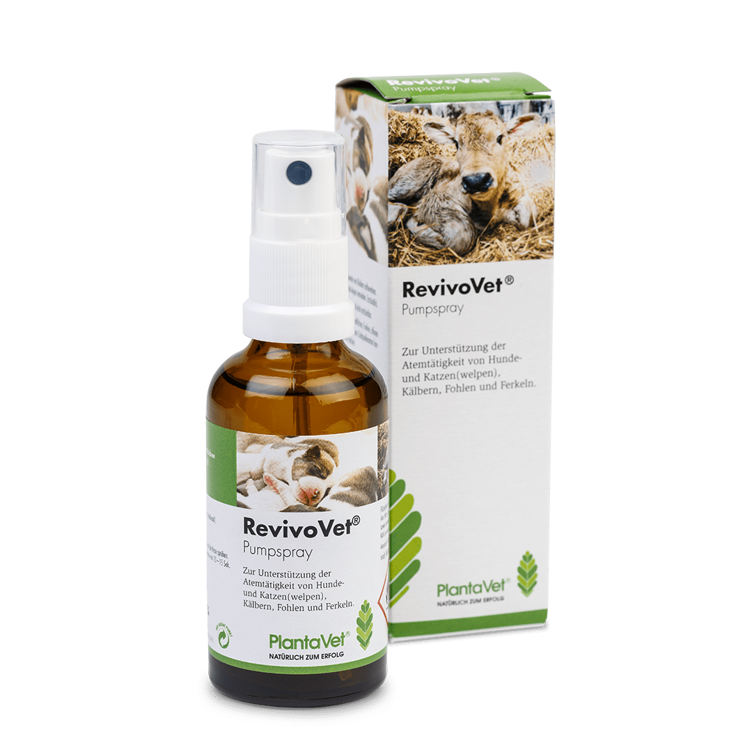 RevivoVet® - Sprühflasche 50 ml - Flasche mit Verpackung