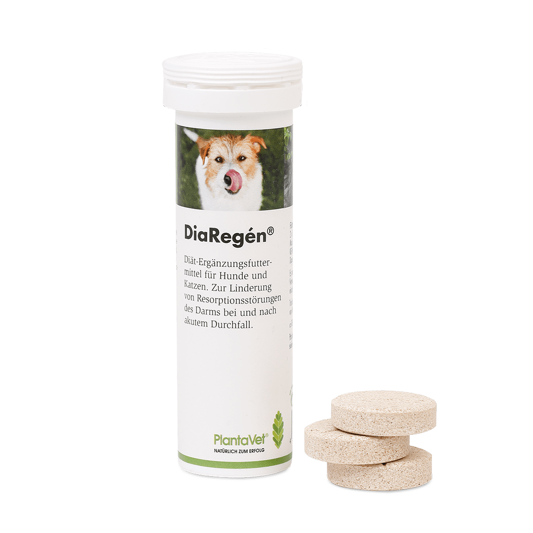Bei Durchfallgeschehn nimm DiaRegén® -  mit Tabletten