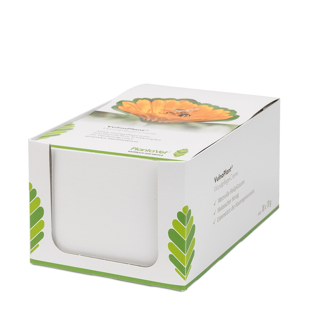 VulnoPlant® Wundpflege-Creme - Aufsteller-Karton