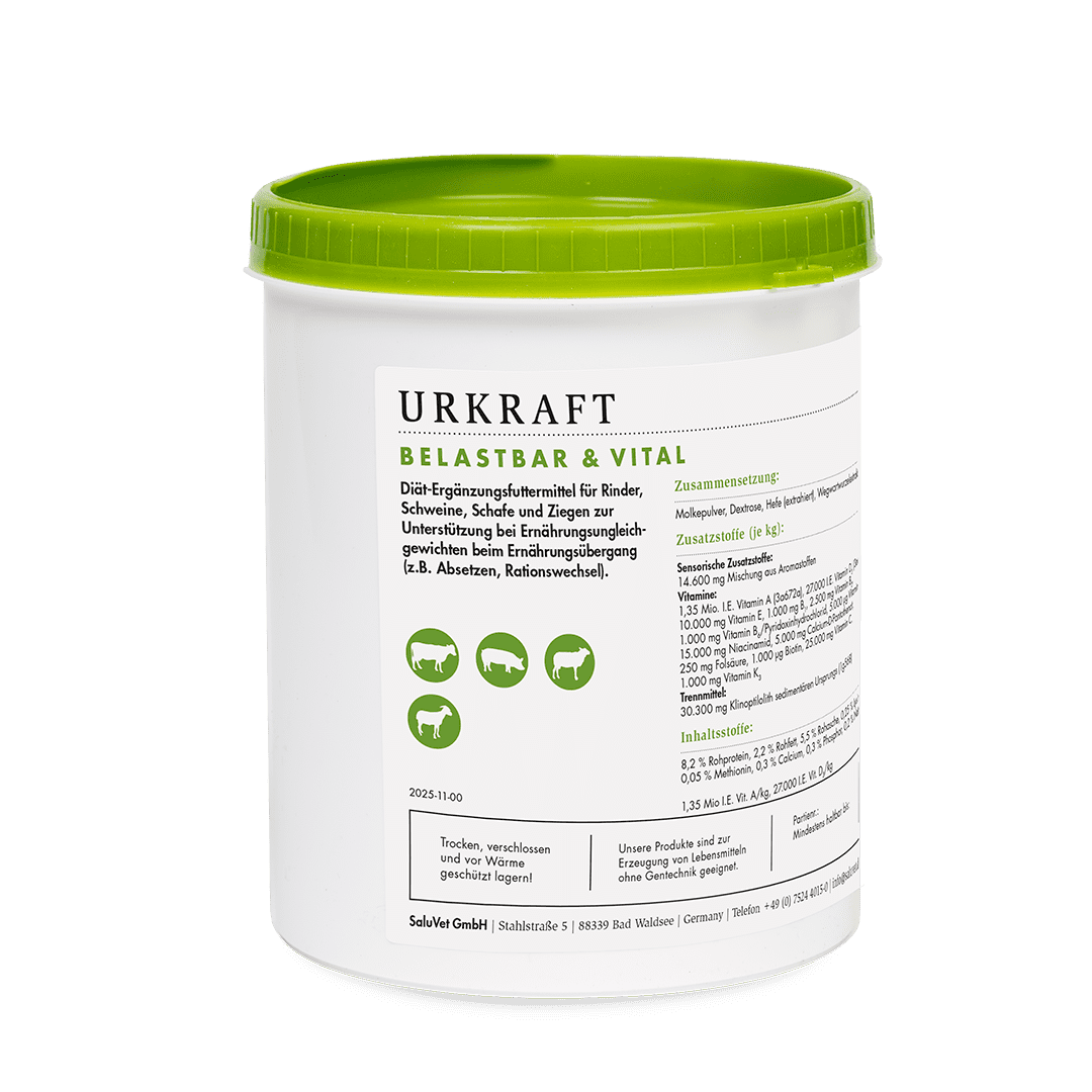 Urkraft Belastbar & Vital