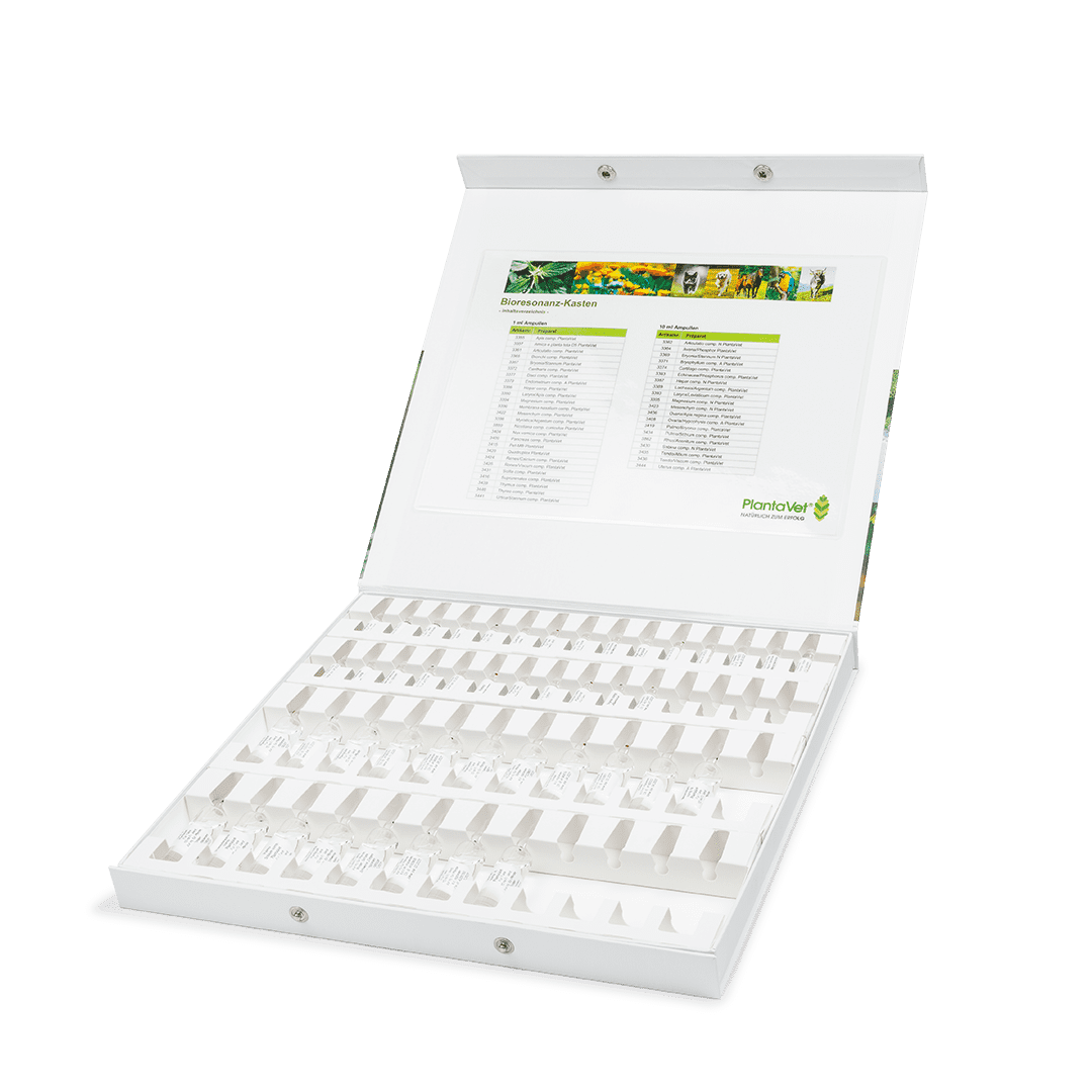 Bioresonanz-Kasten - geöffnet