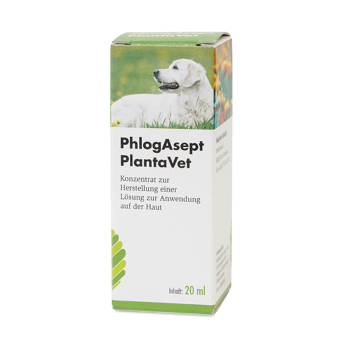 PhlogAsept® PlantaVet - 20 ml Verpackung