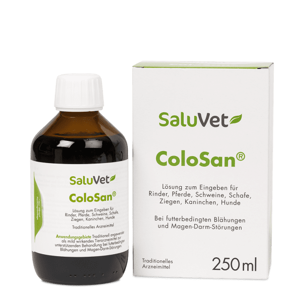 Dr. Schaette | ColoSan®