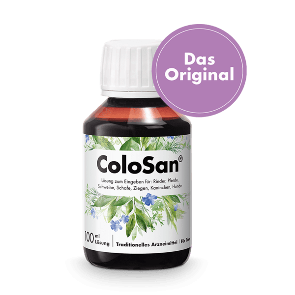 Dr. Schaette Pferd | ColoSan®